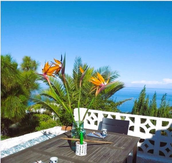 Zenrepublic, Your Private Villa With Outdoor Jacuzzi & Pool With Stunning Ocean Views Puntillo Del Sol Exteriér fotografie